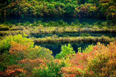 树正群海 树正群海