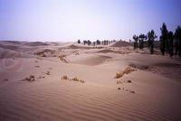 鄂尔多斯恩格贝旅游区 鄂尔多斯恩格贝旅游区