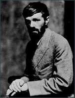 戴维·赫伯特·劳伦斯
戴维·赫伯特·劳伦斯