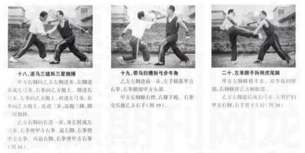 虎鹤双形拳图解 虎鹤双形拳图解