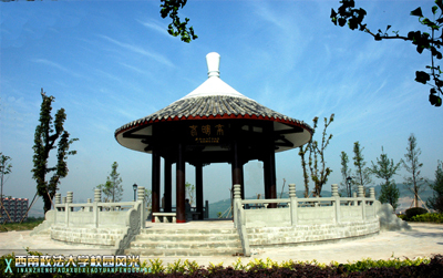 西南政法大学 西南政法大学