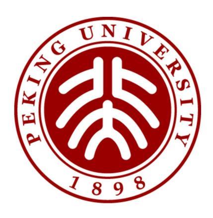 2007年后的北大校徽（现行）