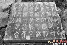 成基命图片 成基命图片