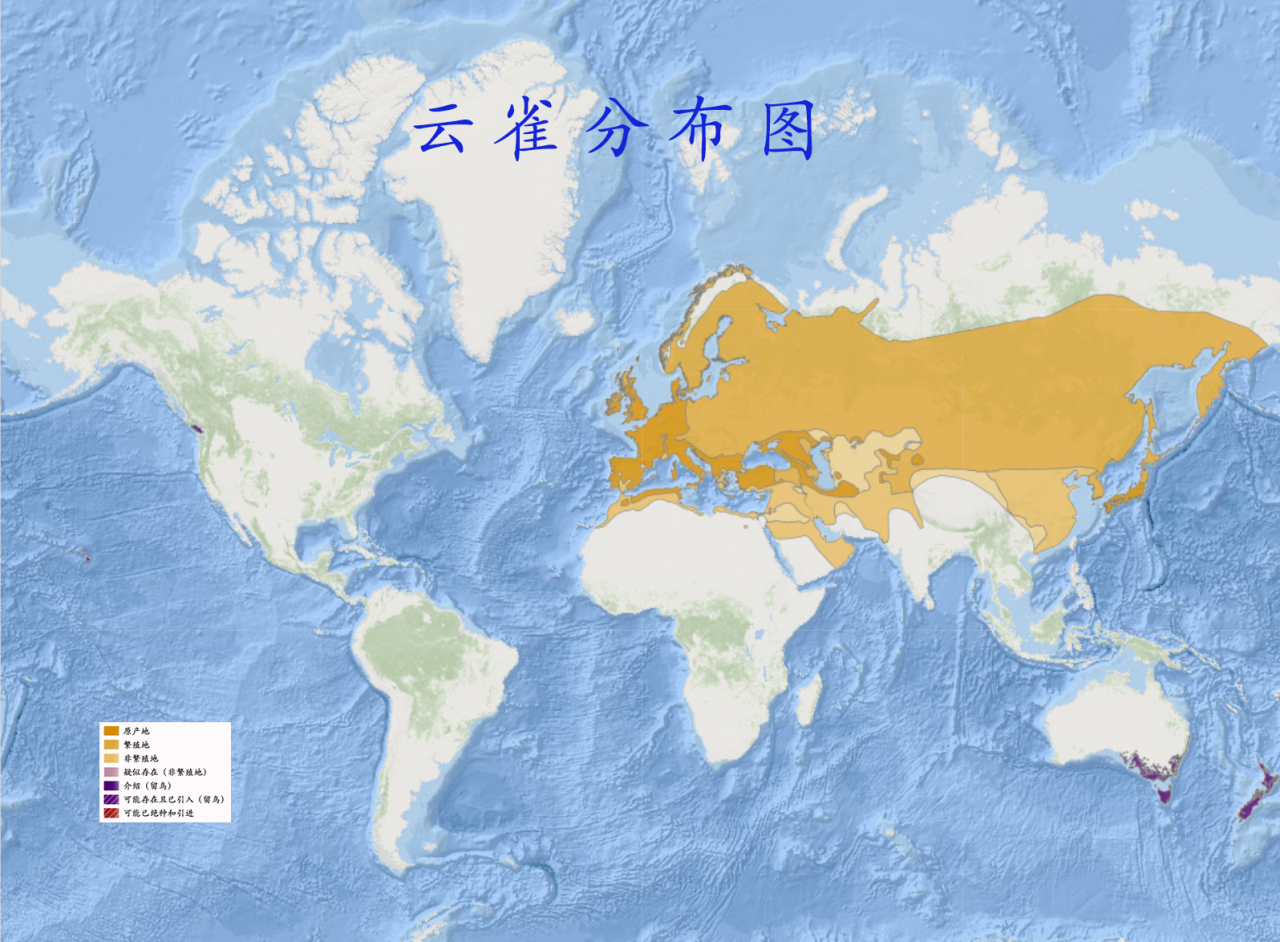 云雀分布图 云雀分布图