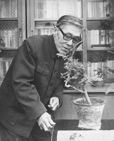 苏金伞照片 苏金伞照片