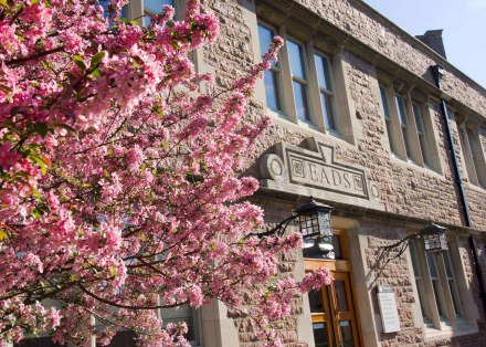 华大校园 华大校园