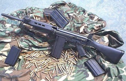 制式武器FN FAL 制式武器FN FAL