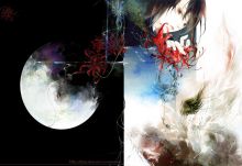 《彼岸花》小说插图 《彼岸花》小说插图