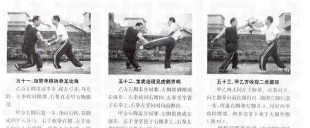 虎鹤双形拳图解 虎鹤双形拳图解