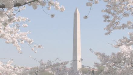 华盛顿纪念碑 华盛顿纪念碑