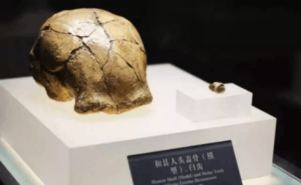 和县猿人 和县猿人