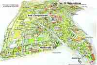 马德里康普顿斯大学 马德里康普顿斯大学