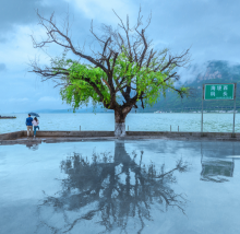 云南风光 云南风光