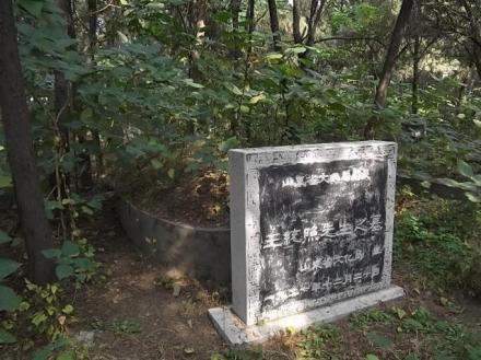 王统照墓 王统照墓