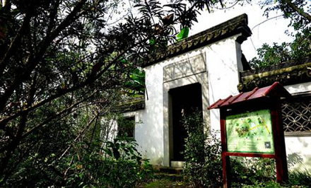 通往厉杭二公祠之径,杂草丛生 通往厉杭二公祠之径,杂草丛生