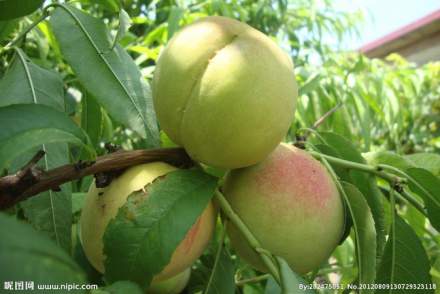 劳动对象 劳动对象