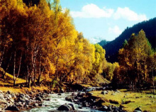 群加国家森林公园 群加国家森林公园