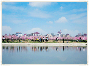 现代农业 现代农业