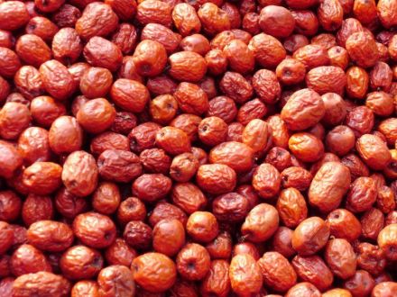 沧州金丝小枣 沧州金丝小枣