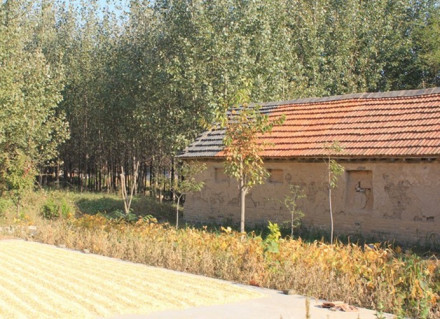 莫言家乡的老屋 莫言家乡的老屋