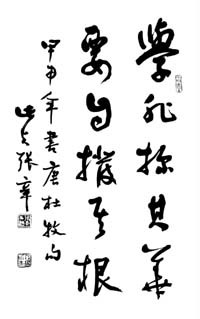 张辛先生书法 张辛先生书法