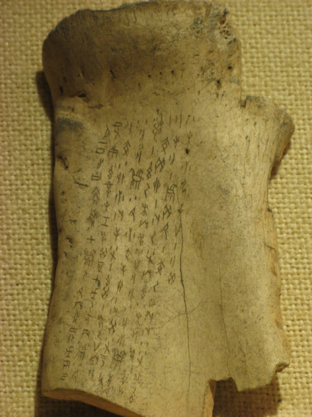 兽骨上的甲骨文 兽骨上的甲骨文