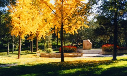 甲所、丙所及园林