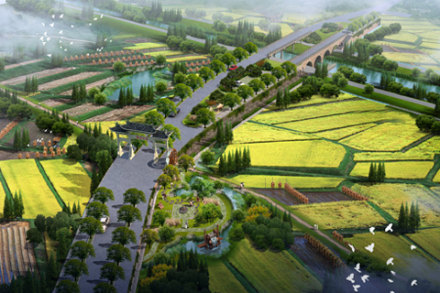 稻田公园 稻田公园