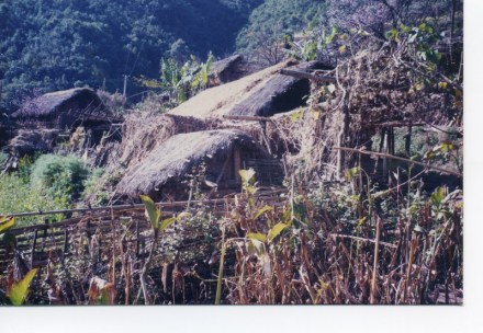 苦聪人居住新貌 苦聪人居住新貌