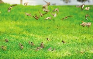 问题小说 问题小说