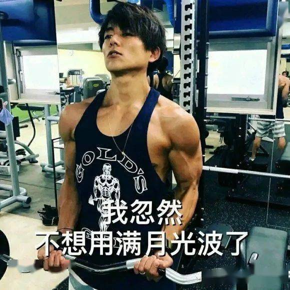 杉浦太阳 杉浦太阳