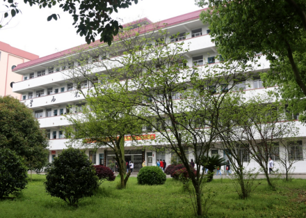 校园一角2012年高考,隆回二中二批本科以上上线 637人,重点本科上线