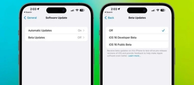 苹果将阻止用户免费装开测版iOS17什么意思