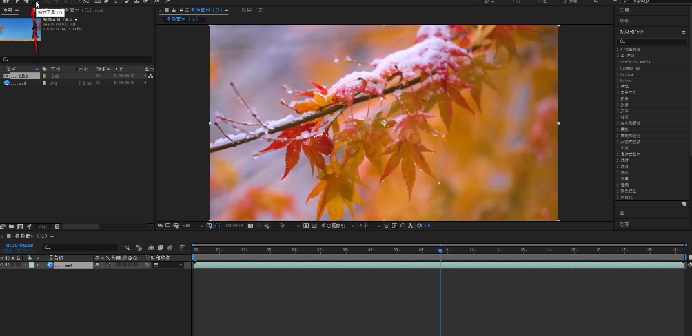 ae怎么缩放图片