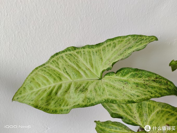 iQOO Neo6到底值不值得买?看完这篇评测,答案显而易见