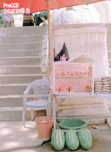 proccd删除的照片怎么恢复?proccd照片恢复教程