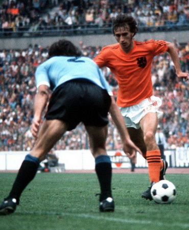 郁金香绽放四海 郁金香绽放四海