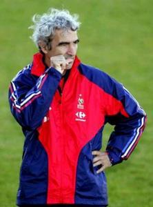 雷蒙德·多梅内克 雷蒙德·多梅内克