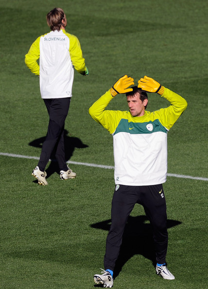 亚历山大·塞利加 亚历山大·塞利加