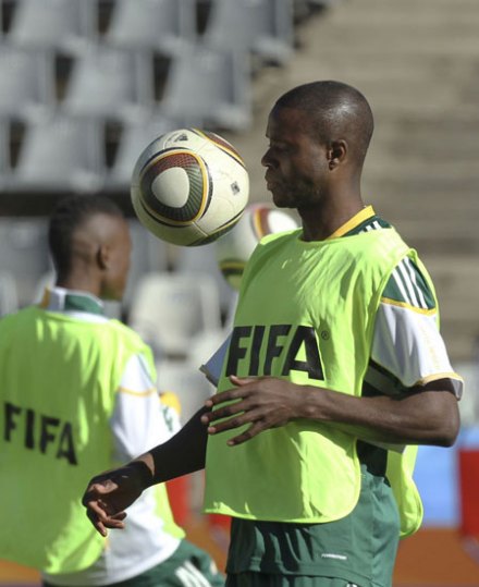 莫科伊纳 莫科伊纳