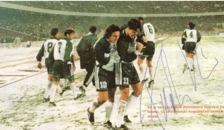 斯洛文尼亚国家男子足球队 斯洛文尼亚国家男子足球队