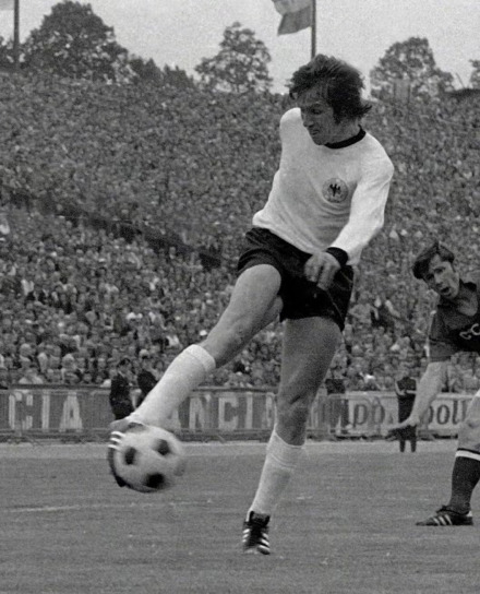 球员生涯 球员生涯