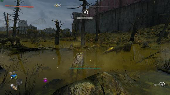 《消逝的光芒2》黑鸭子是干嘛的