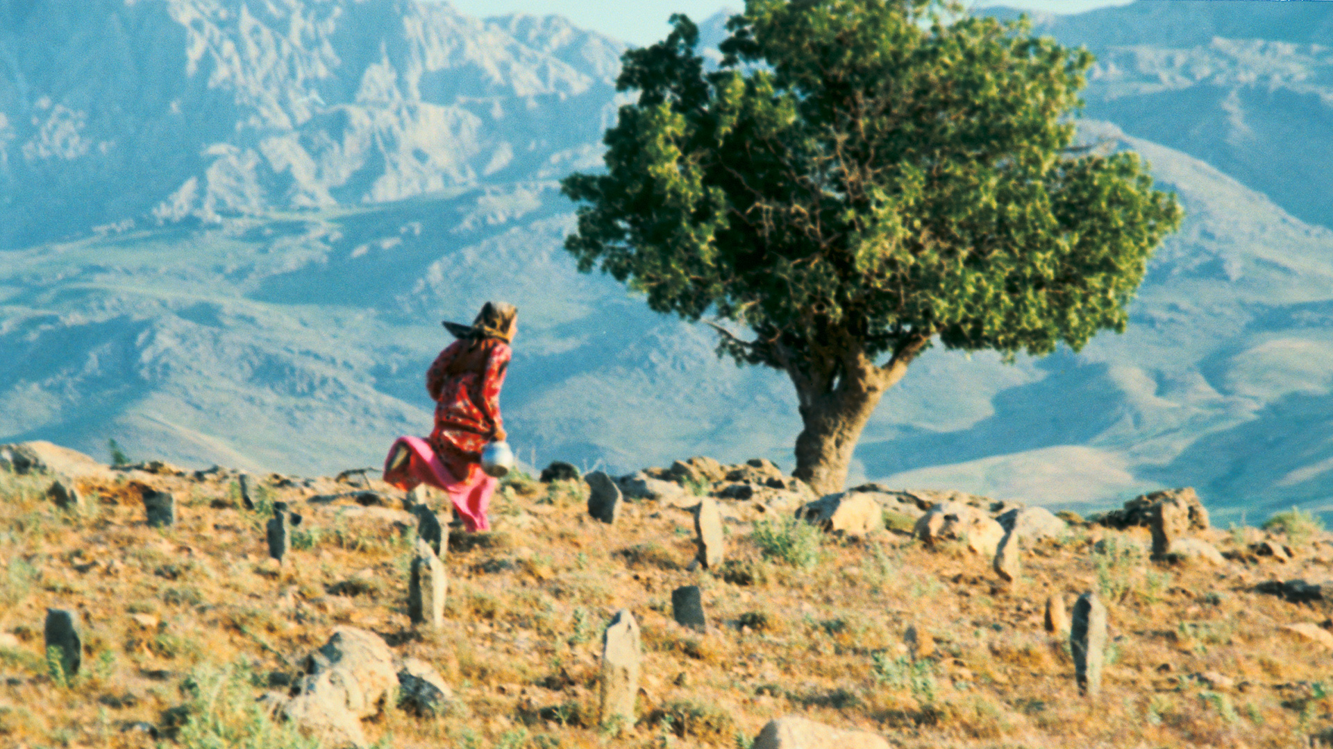 随风而逝(1999)的剧照