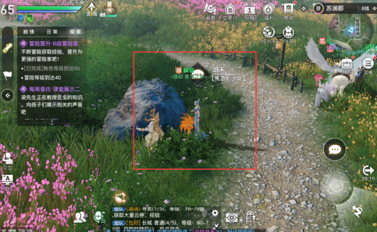 《天谕手游》冒险任务攻略：丢失的首饰