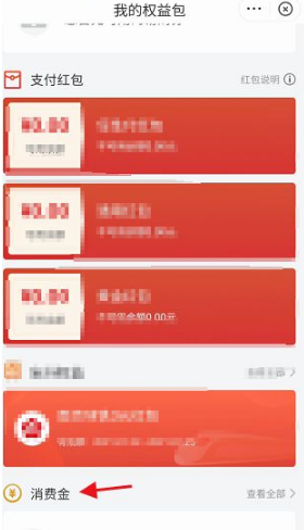 《苏宁易购》怎么查看总消费金额