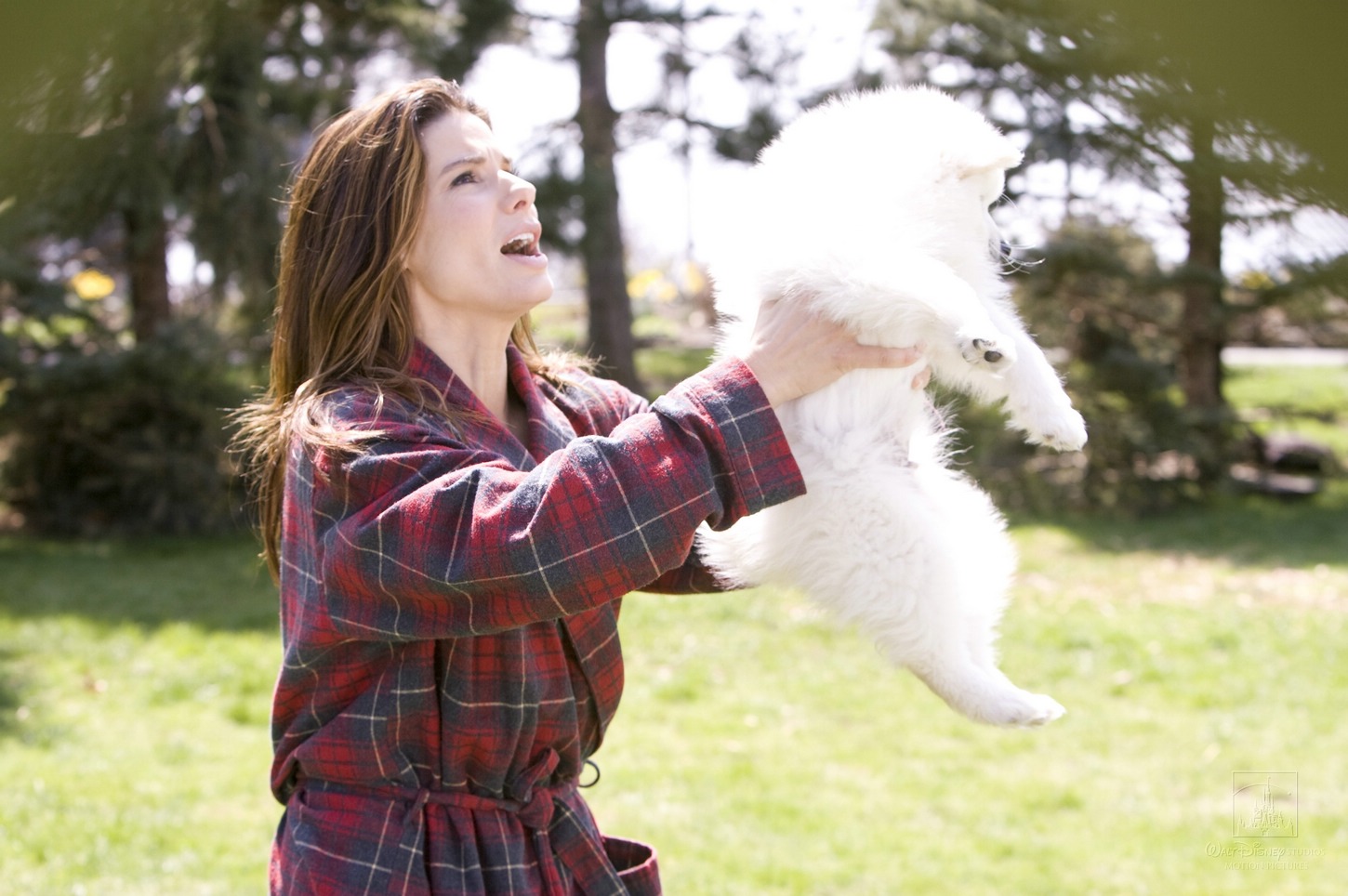 桑德拉·布洛克,瑞安·雷诺兹,玛丽·斯汀伯根,格雷格·t·尼尔森