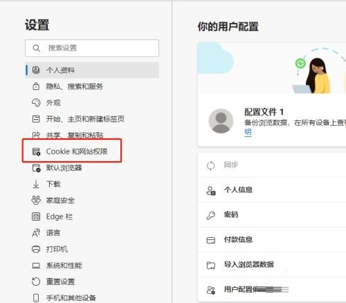 《Edge浏览器》怎么查看Cookie数据