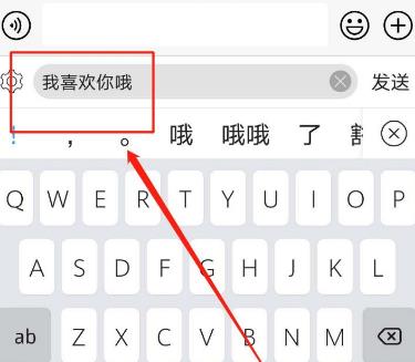 《讯飞输入法》怎么设置BiuBiu密语模式
