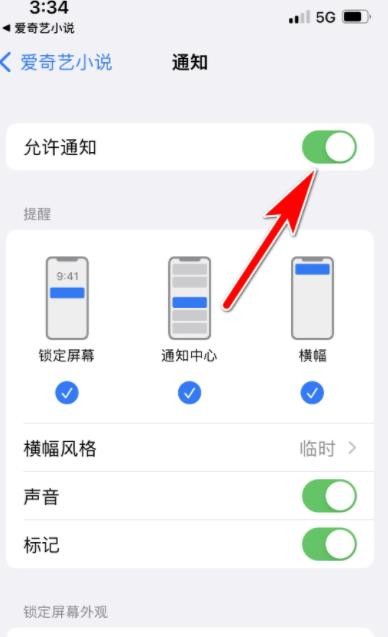 《爱奇艺小说》怎么开启消息推送